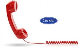Carrier-Hotline